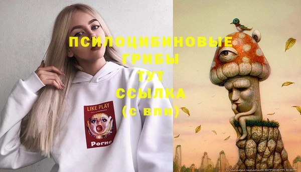 2c-b Арсеньев