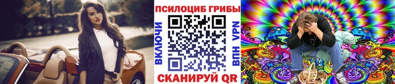 МЕГА как войти  что такое наркотик  Шебекино  Псилоцибиновые грибы Cubensis 