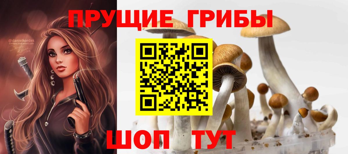 Псилоцибиновые грибы мухоморы  Псилоцибиновые грибы Magic Shrooms  где продают наркотики  Шебекино 