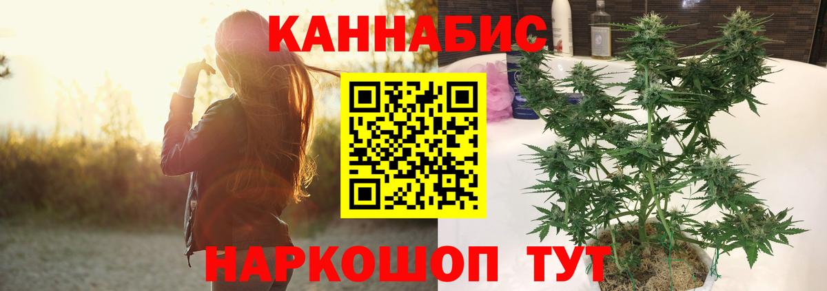 Бошки Шишки план  Каннабис марихуана  Шебекино  Канабис сатива  Марихуана VHQ 